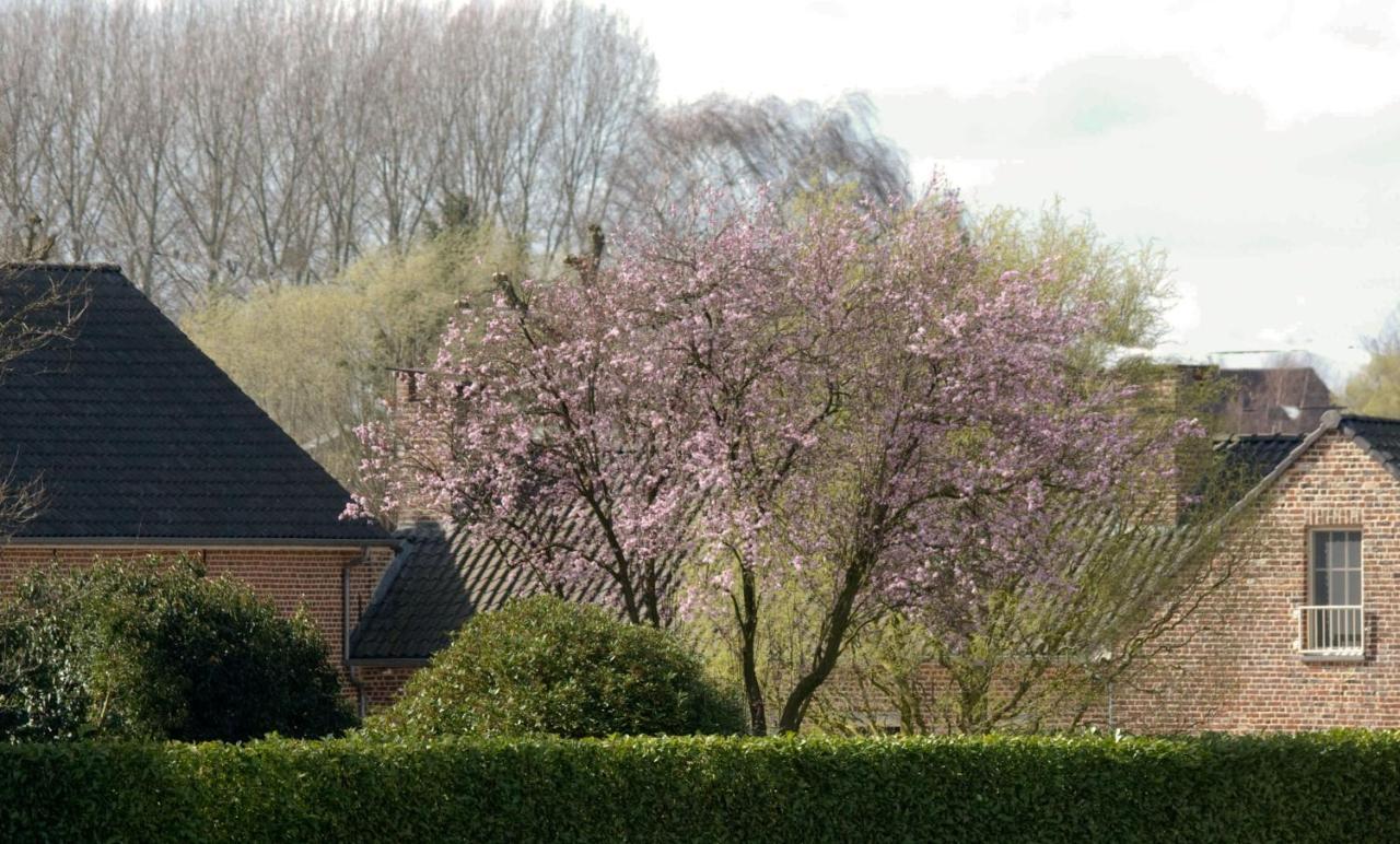 De Rankhove Bed & Breakfast Herne ภายนอก รูปภาพ
